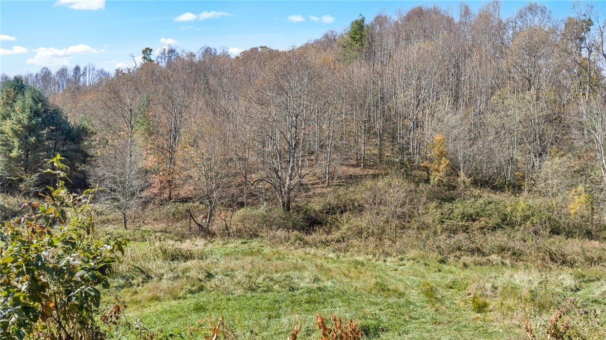 TBD Brushy Fork Road