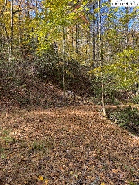 Photo of 78 Holleridge Road, Ferguson, NC 28624 (MLS # 258876)