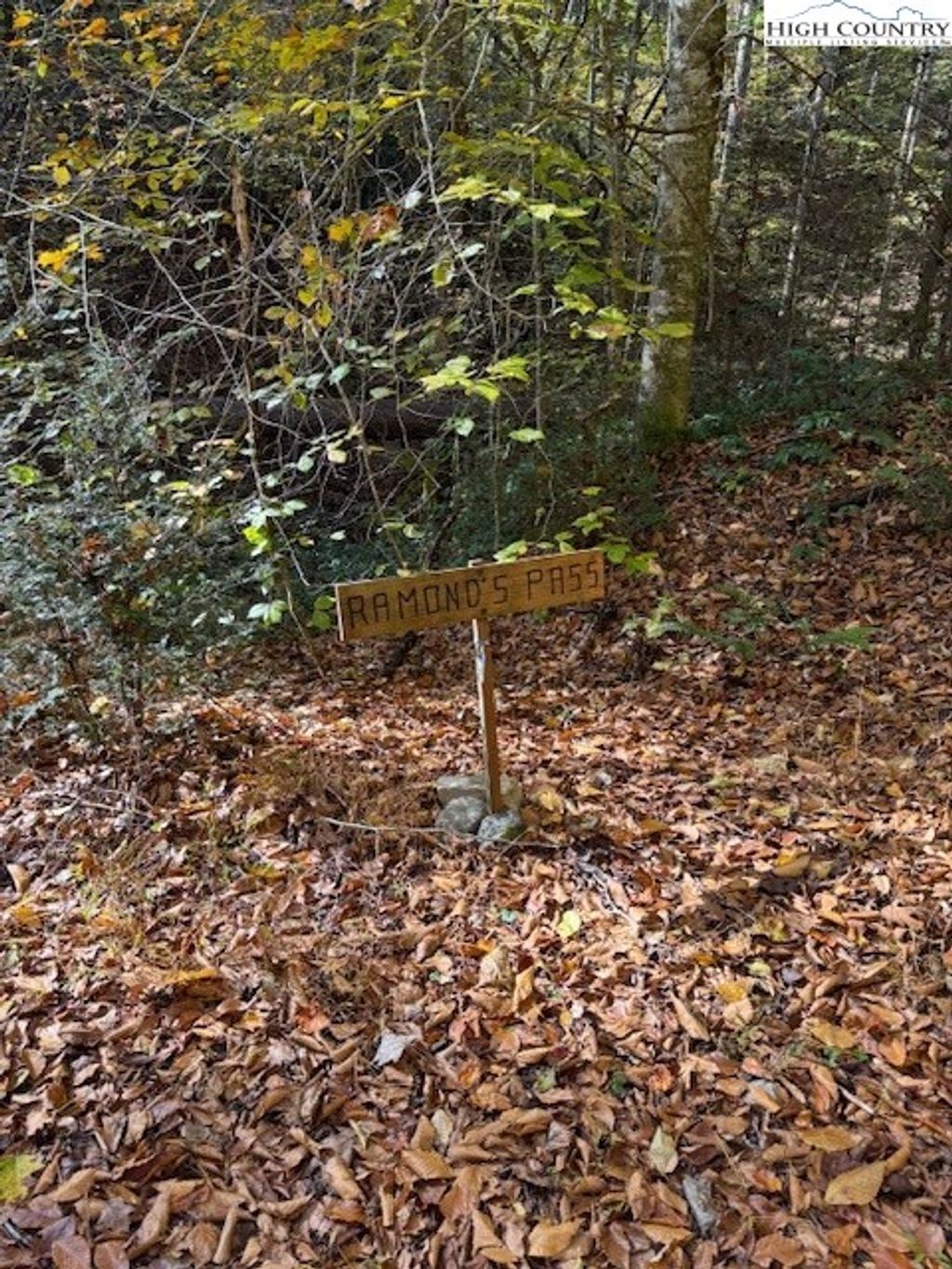 Photo of 78 Holleridge Road, Ferguson, NC 28624 (MLS # 258876)