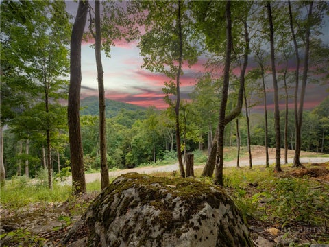 Vacant Land For Sale - C120 Springwater Lane<br/> Avery County, Banner Elk, NC 28604