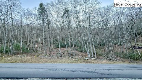 Photo of TBD Lot 61 Wildcat Wilderness Parkway, Deep Gap, NC 28618 (MLS # 259593)