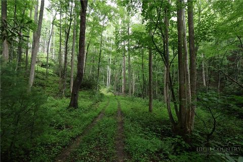 Vacant Land For Sale - TBD Blowing Rock Road<br/> Caldwell County, Lenoir, NC 28645