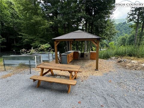 A home in Roan Mountain