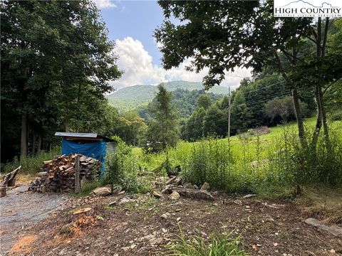 A home in Roan Mountain