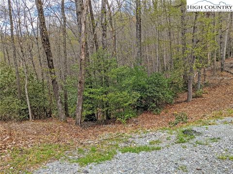 Photo of TBD Powder Horn Mountain Road, Deep Gap, NC 28618 (MLS # 252578)