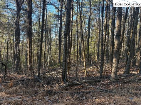 Photo of Lot #24 Eagles Nest Lane, Glade Valley, NC 28627 (MLS # 259674)