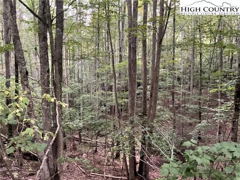 Photo of 145 Raccoon Road, Beech Mountain, NC 28604 (MLS # 261885)