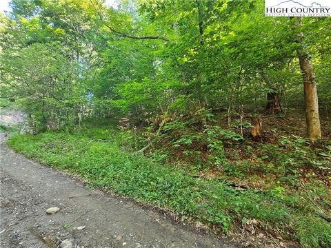Photo of TBD Immaculate Heart Way, Lansing, NC 28643 (MLS # 250699)