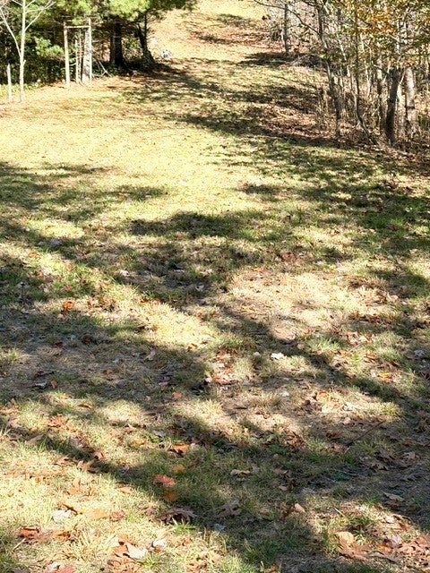 555 Duck Roost Lane