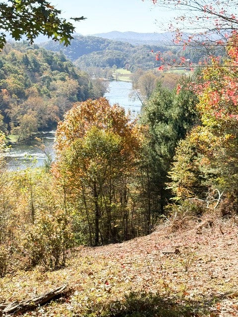 555 Duck Roost Lane