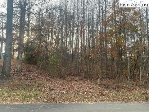 Photo of 000 Meadow Lane Road, Hays, NC 28635 (MLS # 259129)