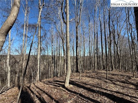 Photo of TBD Highlands Trail, Grassy Creek, NC 28631 (MLS # 258159)