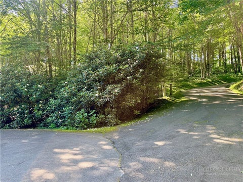 Photo of TBD Chestnut Mountain Road, Banner Elk, NC 28604 (MLS # 263022)