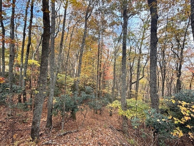 Lot 29 Woodland Shores