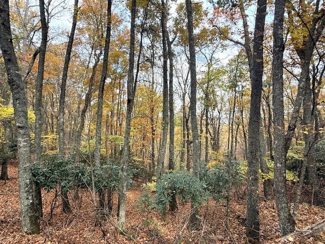 Lot 29 Woodland Shores