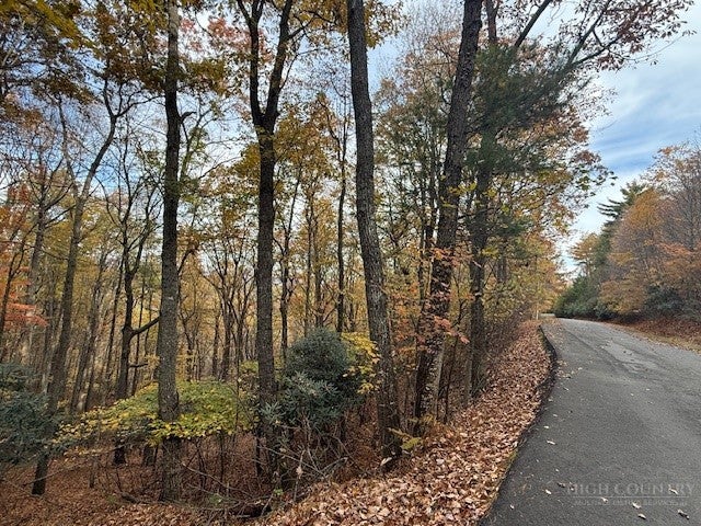 Lot 29 Woodland Shores
