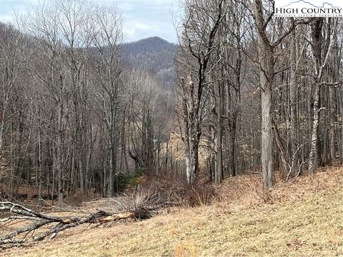 Photo of LOT 38 Poplar Forest Drive, Boone, NC 28607 (MLS # 260527)