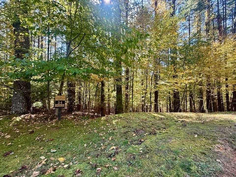 Photo of Lot 34 &33 Woodland Valley Road, Jefferson, NC 28640 (MLS # 264970)