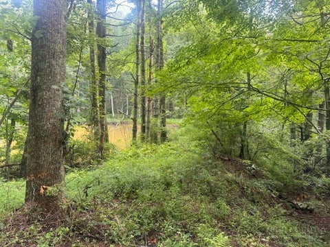 Photo of TBD Thistle Hill Lane, Jefferson, NC 28640 (MLS # 264557)