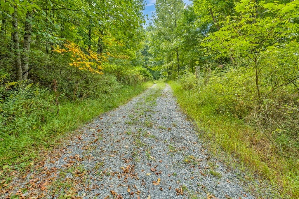 1768 Beaver Dam Road