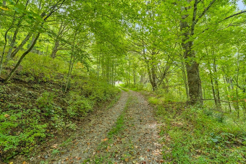 1768 Beaver Dam Road