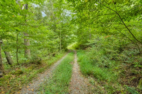 Photo of 1768 Beaver Dam Road, Vilas, NC 28692 (MLS # 263879)