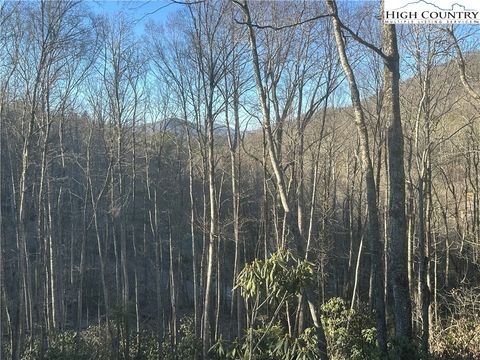 Photo of Lot 40 Silver Fox Drive, Blowing Rock, NC 28605 (MLS # 253896)