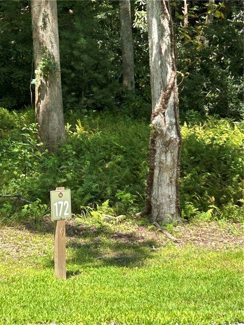 Photo of Lot 172 Wilderness Reserve Parkway, Deep Gap, NC 28618 (MLS # 264243)