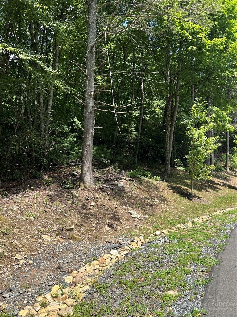 Lot 172 Wilderness Reserve Parkway