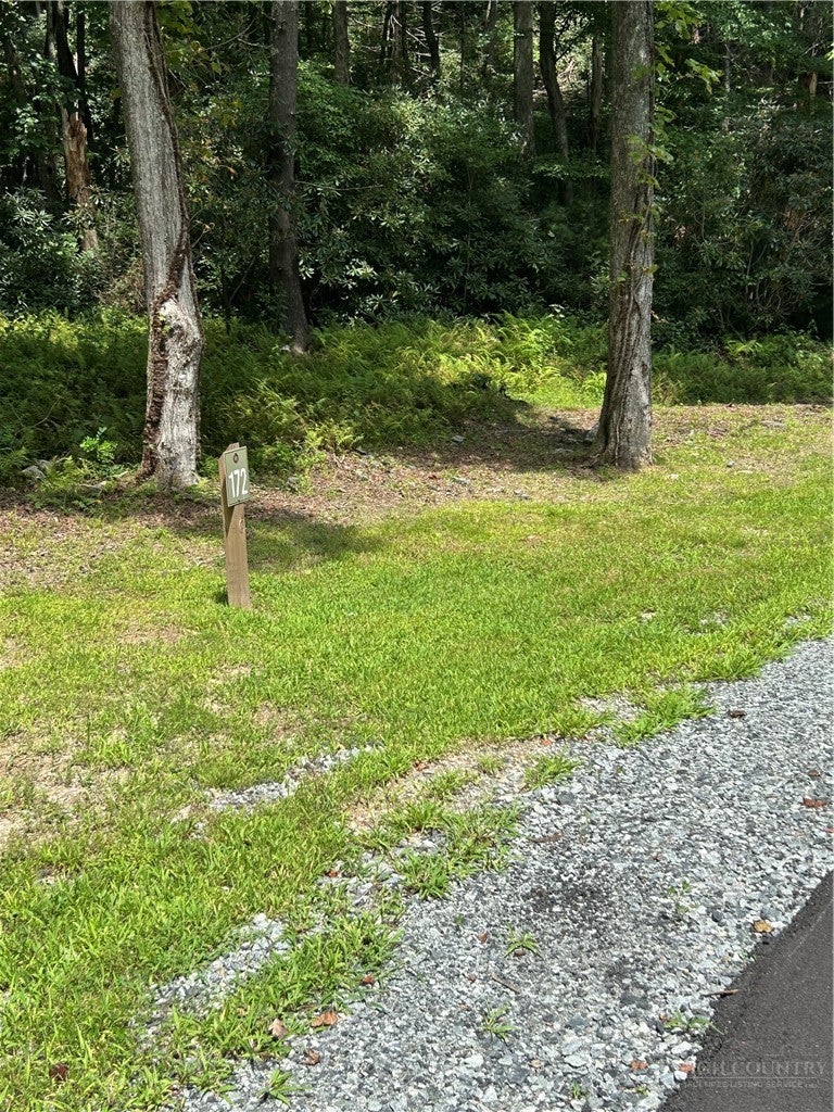 Lot 172 Wilderness Reserve Parkway