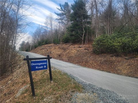 Photo of 100 Deergrass Road, Beech Mountain, NC 28604 (MLS # 261474)