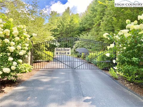 Photo of TBD Cubs Den Trail, Boone, NC 28607 (MLS # 243051)