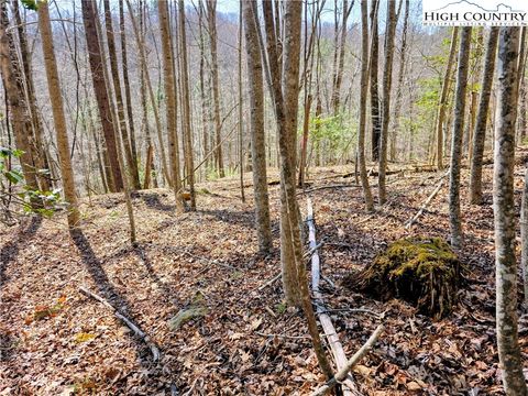 Photo of TBD Powder Horn Mountain Road, Deep Gap, NC 28618 (MLS # 260560)