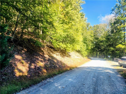 Photo of 113 E Blueberry Lane, Beech Mountain, NC 28604 (MLS # 264522)