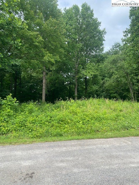 Vacant Land For Sale - 0000 Mountain View Road<br/> North Wilkesboro, NC 28659