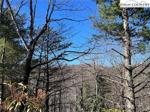 Photo of TBD (Lot 4) Wolf Den Lane, Lenoir, NC 28645 (MLS # 260116)
