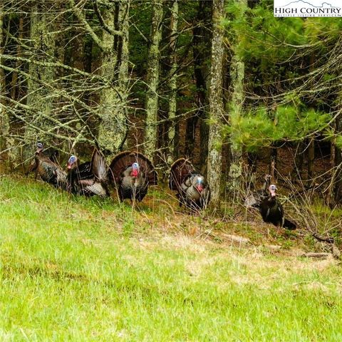 Photo of 000 Old Hampton Road, Boone, NC 28607 (MLS # 243217)