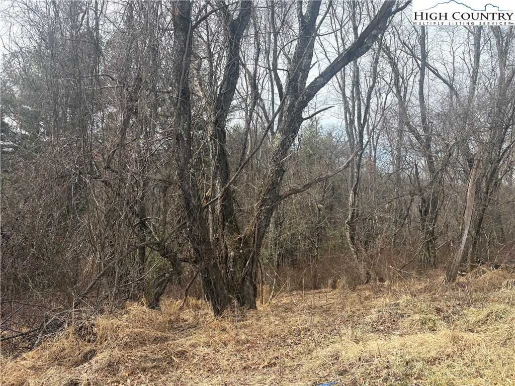 Photo of TBD 5-K River Run Lane, Sparta, NC 28675 (MLS # 260018)