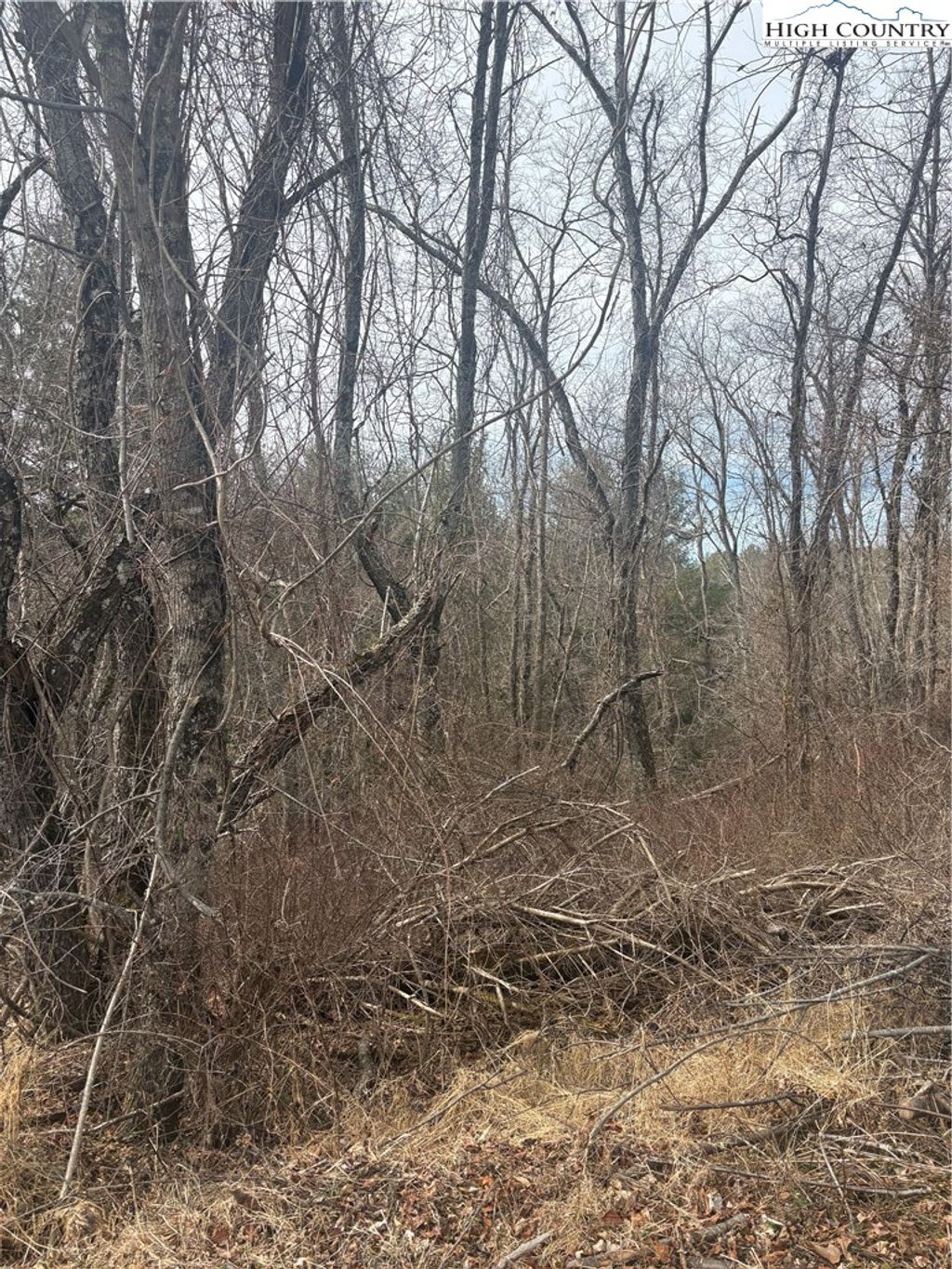 Photo of TBD 5-K River Run Lane, Sparta, NC 28675 (MLS # 260018)