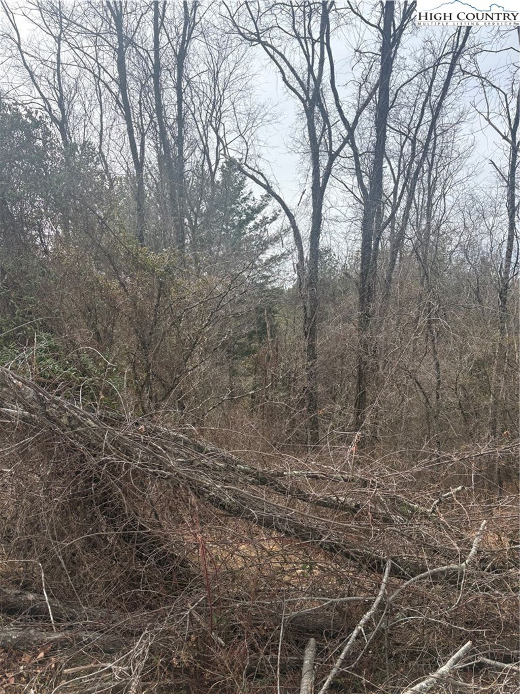 Photo of TBD 5-K River Run Lane, Sparta, NC 28675 (MLS # 260018)