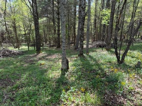 Photo of TBD (0.834) Crestview Drive West, Creston, NC 28615 (MLS # 261252)