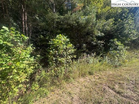 Photo of 00 Parsonsville Road, Purlear, NC 28665 (MLS # 258383)