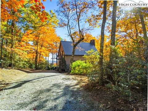 Homes For Sale - 675 Cabin Ridge Road<br/> Ferguson, NC 28624
