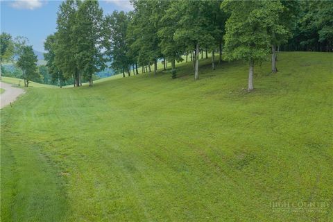 Photo of Lot 36 Summerfield Drive, Butler, TN 37640 (MLS # 262405)