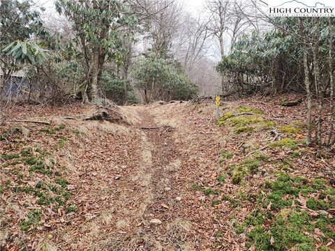 Photo of TBD Staghorn Hollow, Beech Mountain, NC 28604 (MLS # 259636)