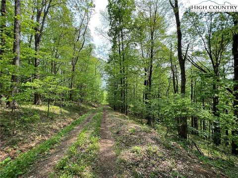 Photo of TBD Misty Mountain Road, Boone, NC 28607 (MLS # 253408)