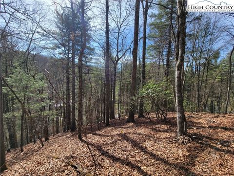 Vacant Land For Sale - TBD (LOT 72) Creekside Meadows Drive<br/> Ashe County, Fleetwood, NC 28626