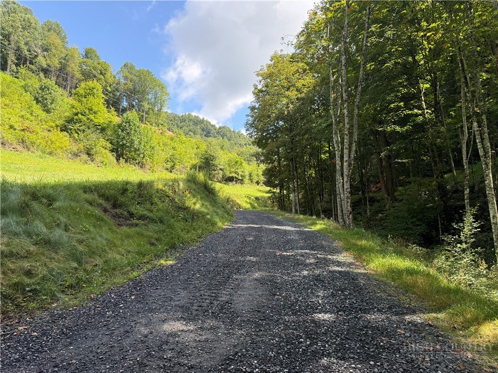 Lot 3 Horseshoe Trail