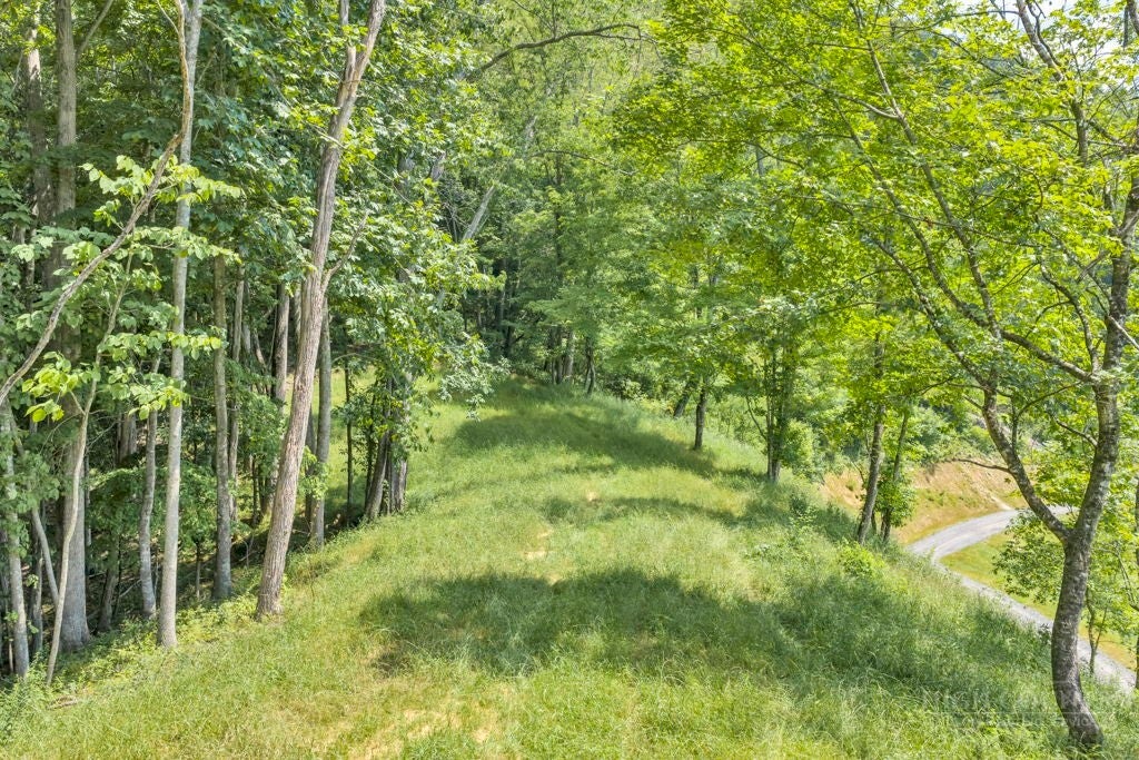 Lot 3 Horseshoe Trail