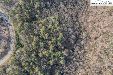 Photo of TBD Phacelia Lane, Boone, NC 28607 (MLS # 248042)